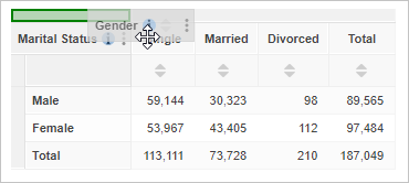 Dragging the Gender field onto the columns