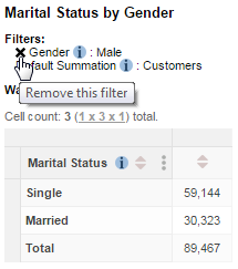 Clicking the X button next to a filter item to remove it from the table