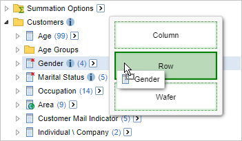 Dragging the Gender field from the Field List onto the Row drop zone