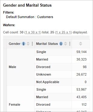 A table with Gender and Marital Status nested on the rows