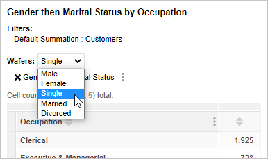 A table with Gender and Marital Status concatenated on the wafers