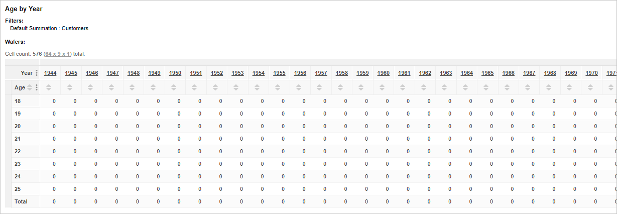 A table showing Age by Year, with a Cell Count 576 (64 x 9 x 1)