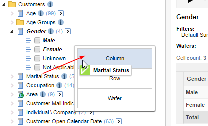 Dragging the Marital Status item to the Column drop zone