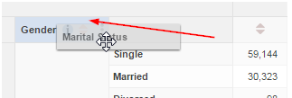 A table with Marital Status being dragged onto the Gender row heading drop zone