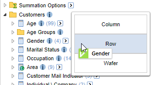 Dragging the Gender field from the Field List onto the Row drop zone