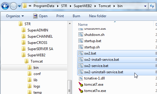 SW2-Scripts.png