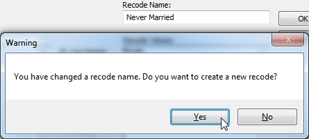 Eg3-DefineNewRecode-3.png