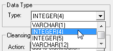 Data-Type.png