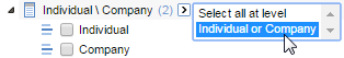 Classification-Label-in-SW2.png